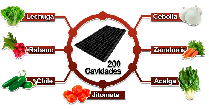 Grafico_Ideal_para_Charolas