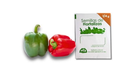 Semilla de Pimiento Morrón Variedad California Wonder – Mini Sobre 1/4 g