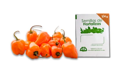 Semilla de Chile Habanero Var Orange- Mini Sobre 1/4 g