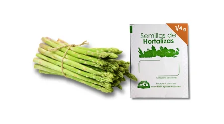 Semilla de Esparrago Variedad Mary Washington – Mini Sobre 1/4 g