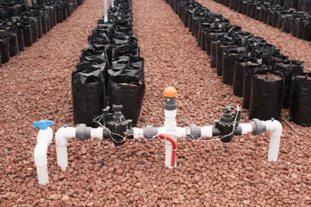 riego por goteo localizado en bolsas para vivero