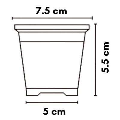 medidas-maceta-bicolor-3-pulgadas
