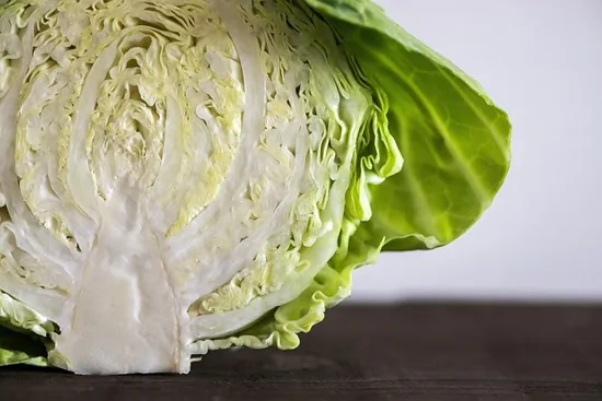 guia de cultivo col que logro un adecuado desarrollo