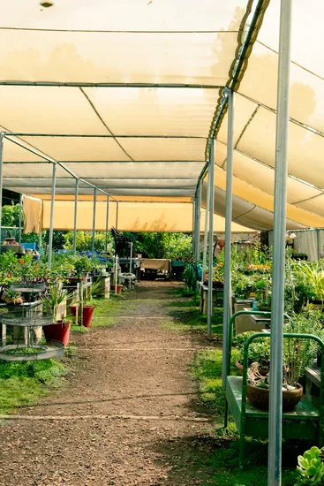 estructura para malla sombra en vivero