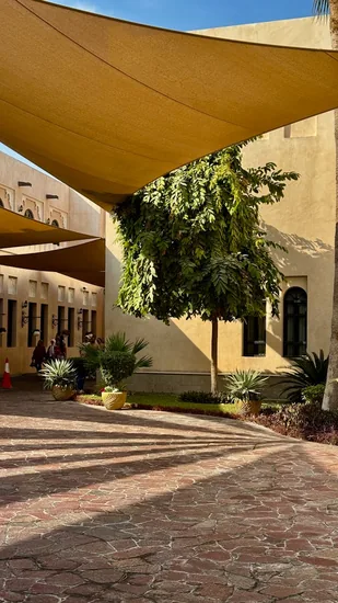 malla sombra pra patio o jardin arquitectonica
