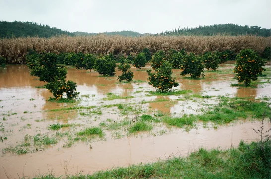 Inundación durante la temporada de lluvias