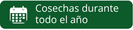 Cosechas_durante_todo_el_ano