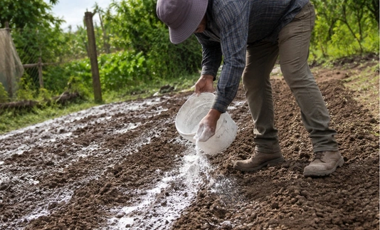 Encalado agrícola