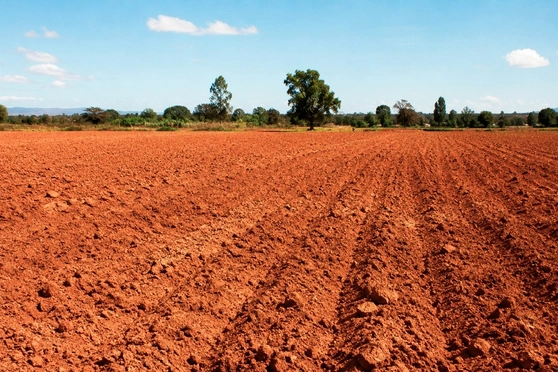Suelo rojizos de pH acido se recomienda el encalado agrícola