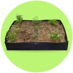 Camas de cultivo