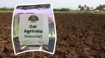 cal-agricola-dolomita-1-kg-producto