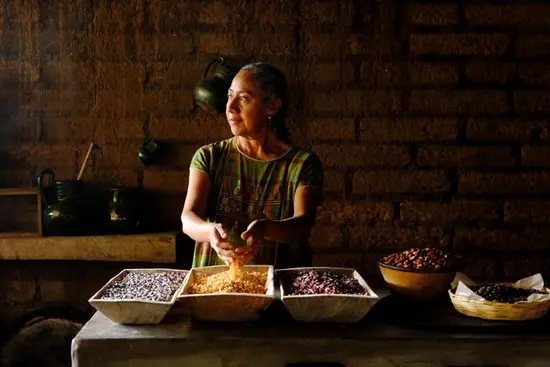 tipos de maices o variedades criollas o nativas