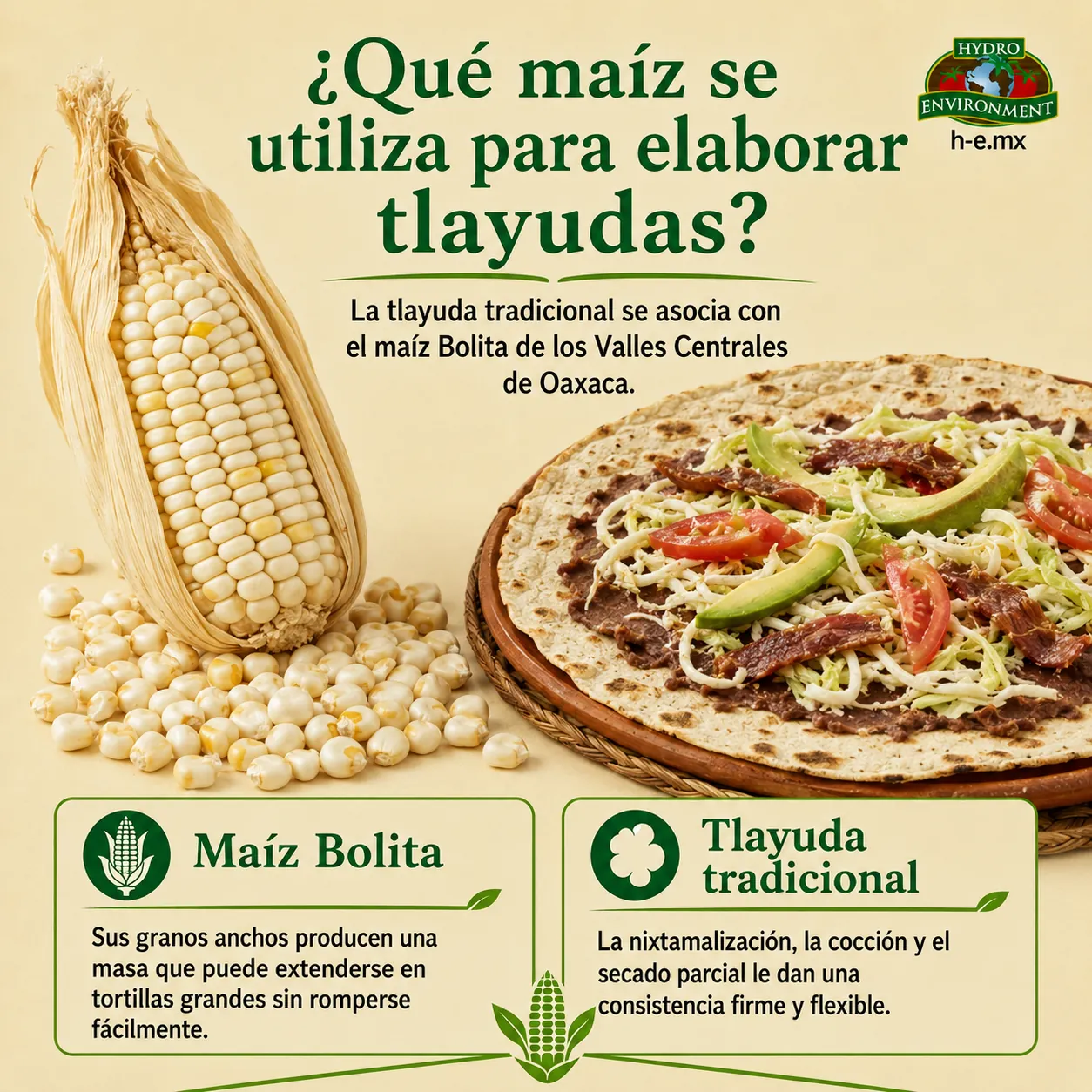 tipos de maices para elaborar tlayudas